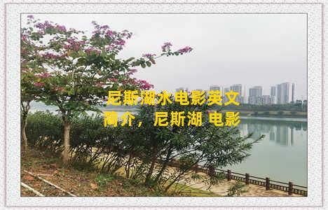 尼斯湖水电影英文简介，尼斯湖 电影